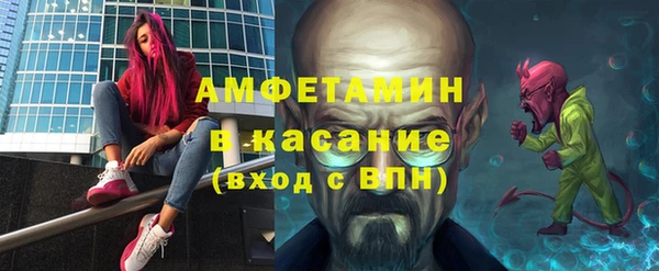 амф Вяземский